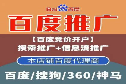 竞价排名案例：跨平台推广效果分析